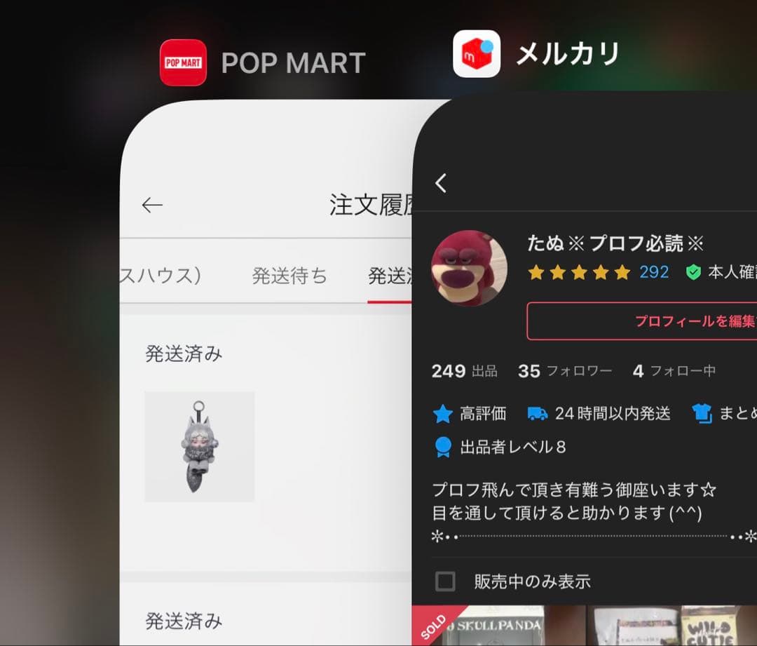 日本限定SKULLPANDA スカルパンダ XG①