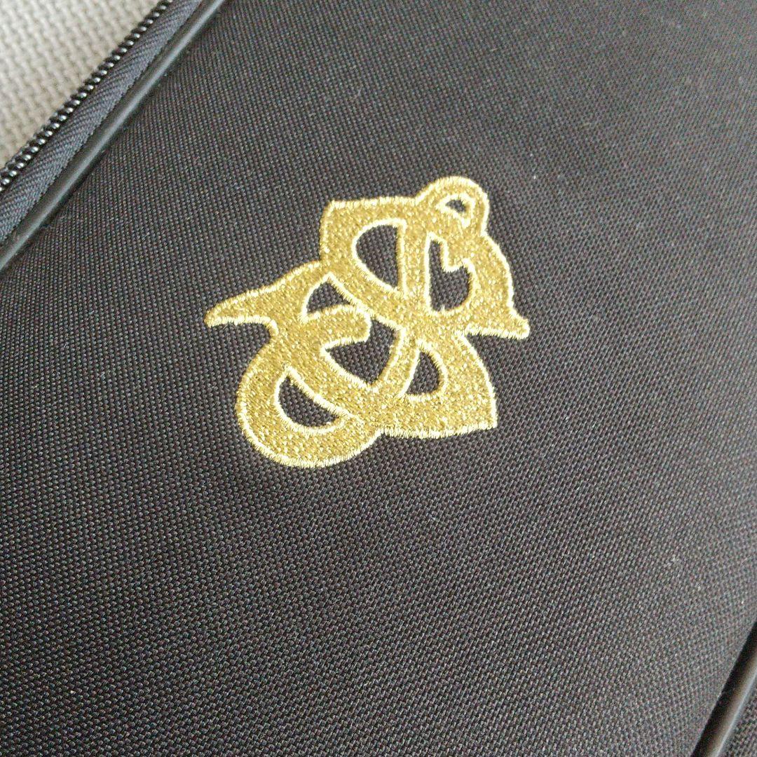 ☆エレキギター＊SELDER☆