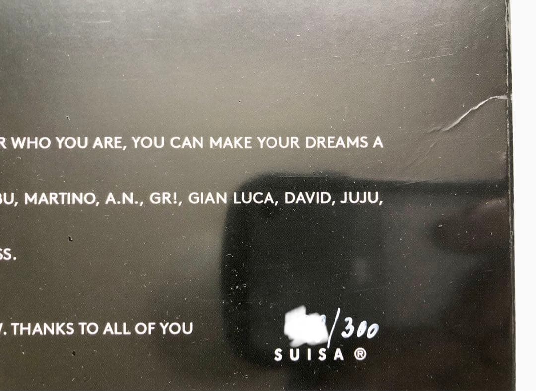 Mr Doodle SYLVANO THIS WORLD 限定LP シリアル入り