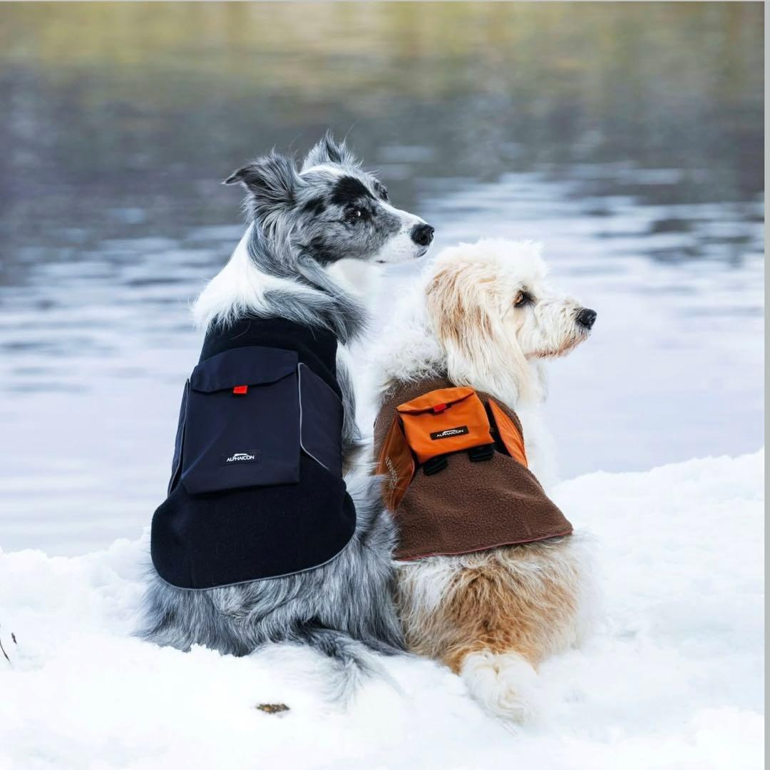 Alphaicon エアライナー×ポケット Lサイズ