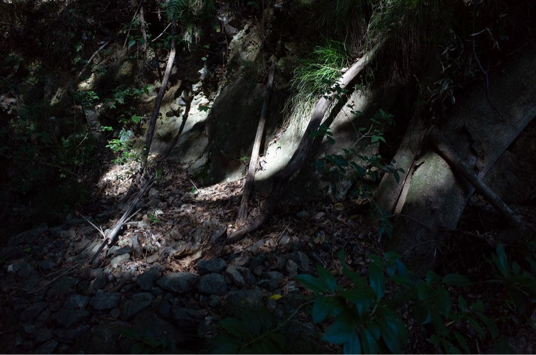 リコー 初代GR APS-C コンパクトデジタルカメラ