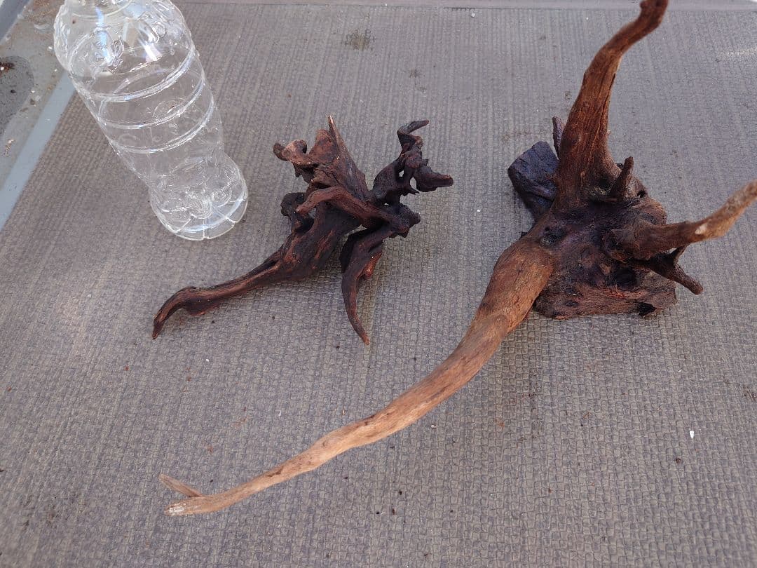 水槽用流木セット