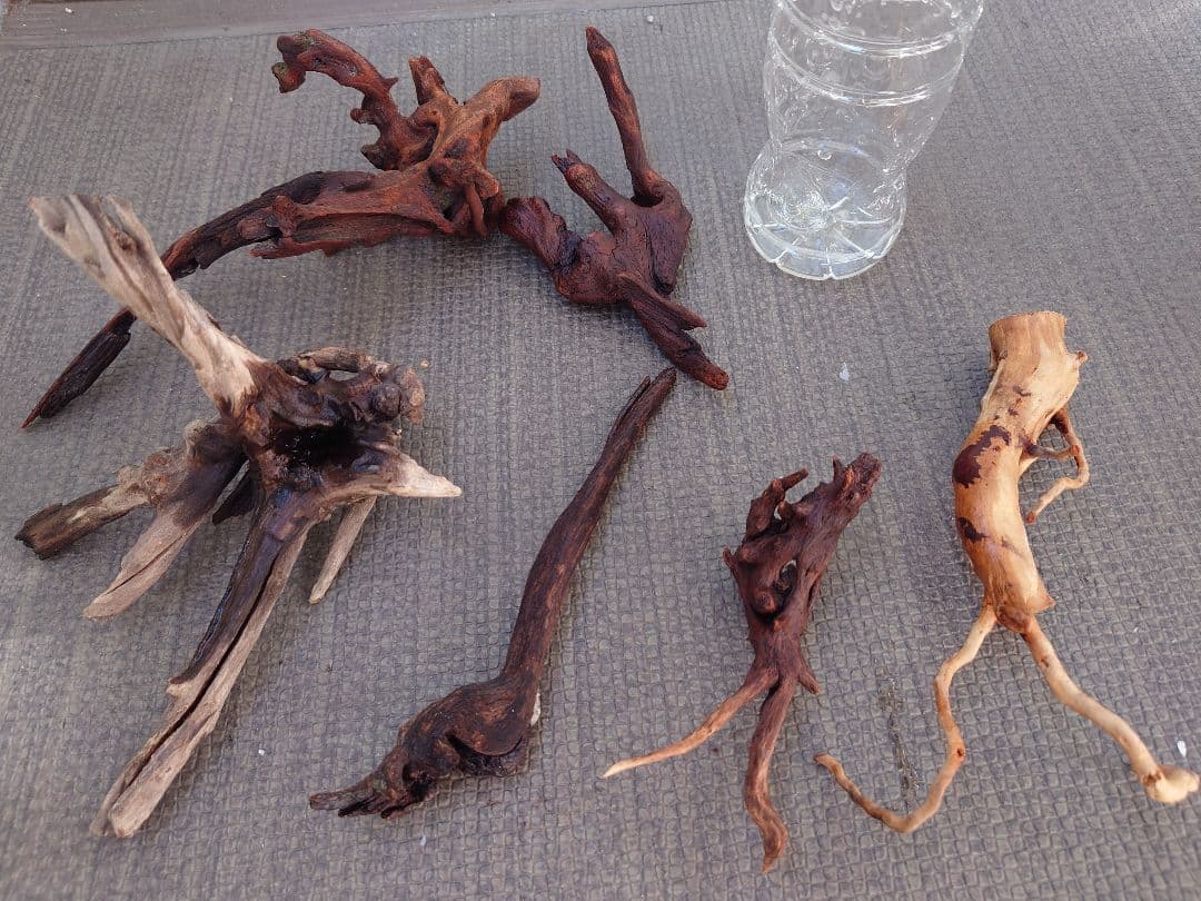 水槽用流木セット