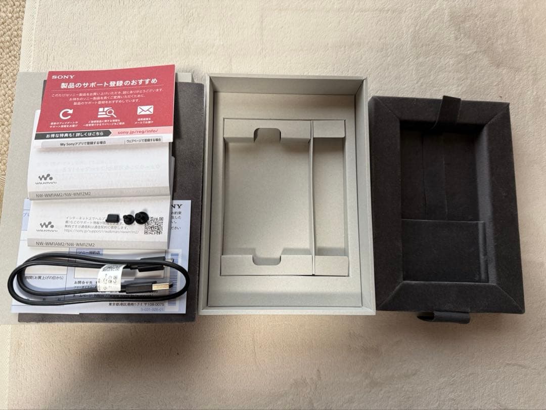 【おまけ付き】SONY NW-WM1AM2