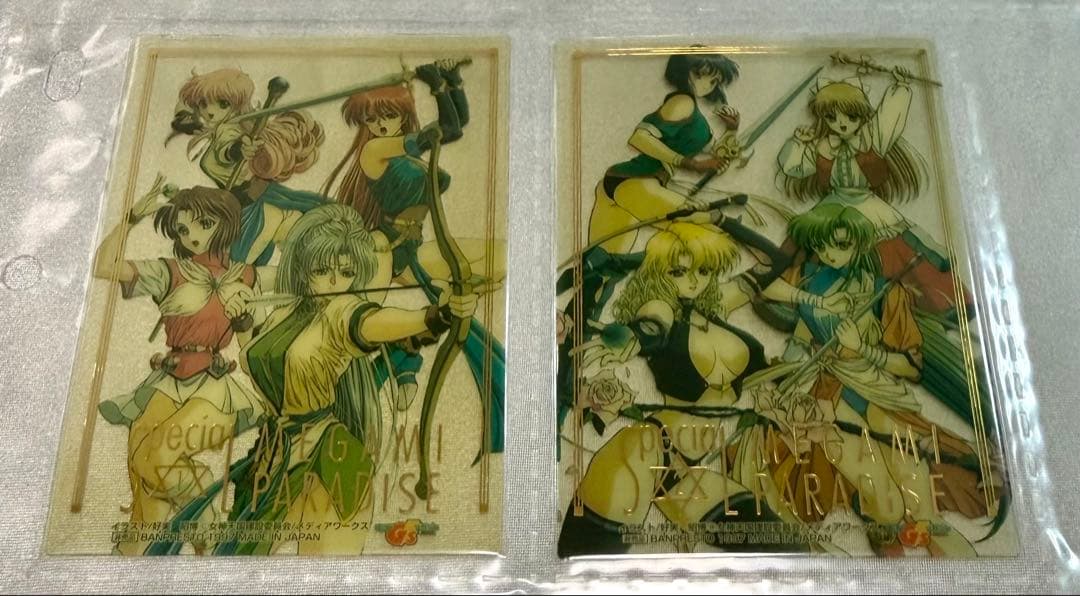 【非売品】電撃Gzマガジン MEGAMI PARADISE トレカセット