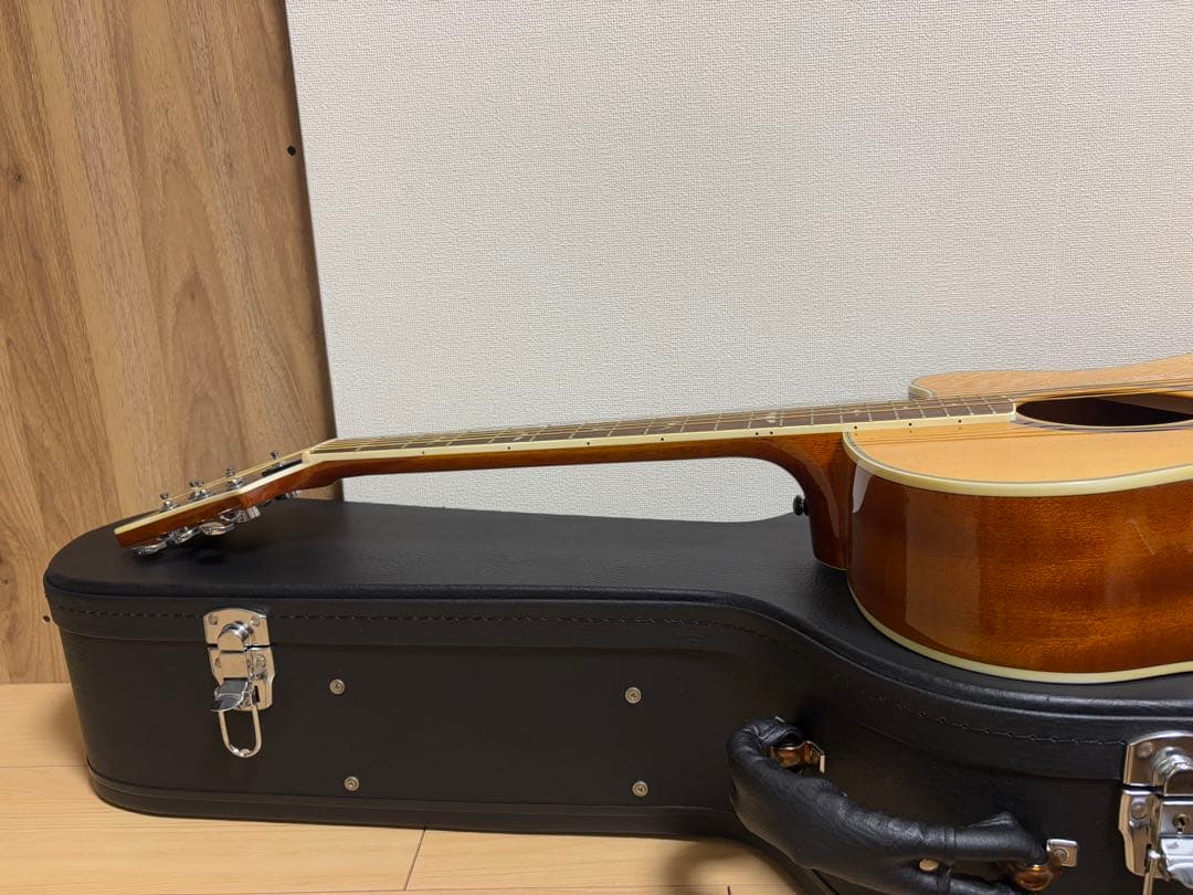 ポールリードスミスSE アンジェラス スタンダード ギター