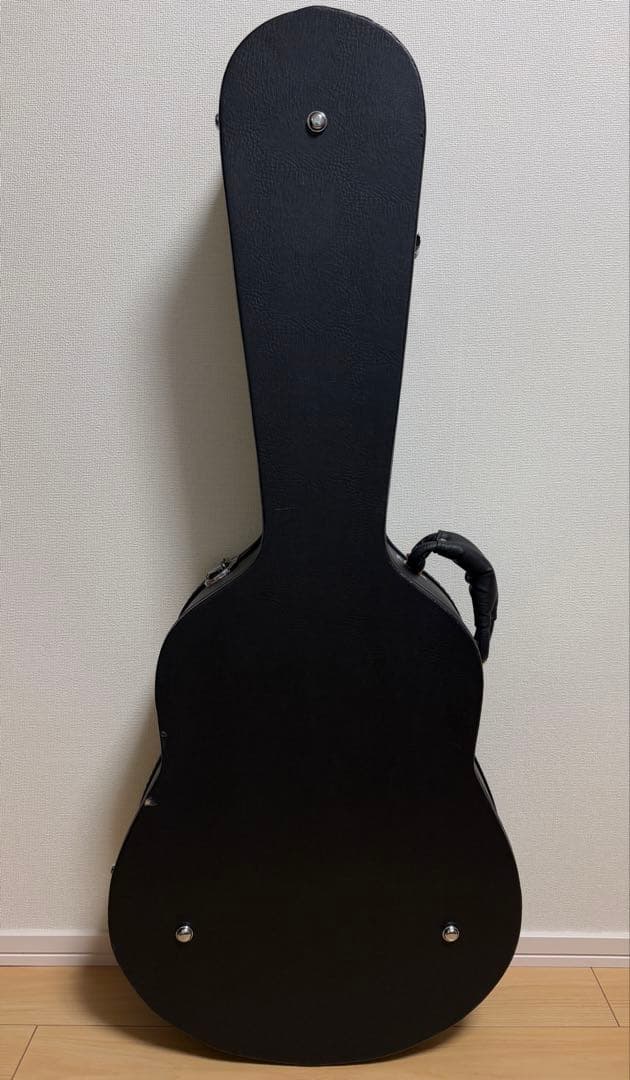 ポールリードスミスSE アンジェラス スタンダード ギター