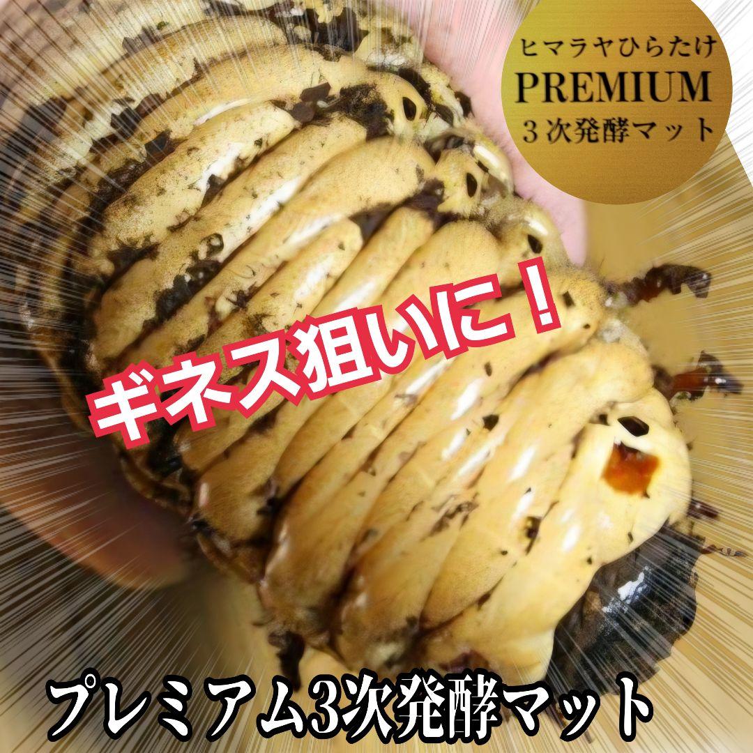 ヘラクレス181ミリ羽化実績！極上！プレミアム3次発酵カブトムシマット　100L
