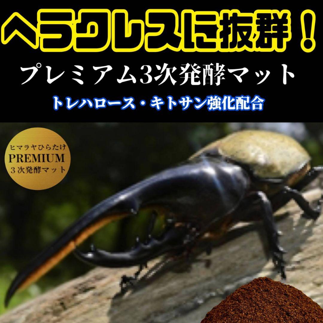 ヘラクレス181ミリ羽化実績！極上！プレミアム3次発酵カブトムシマット　100L