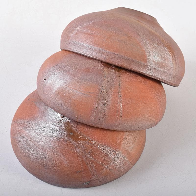 備前焼　人間国宝　藤原雄作　緋襷向付　五客　共箱　M　R8675