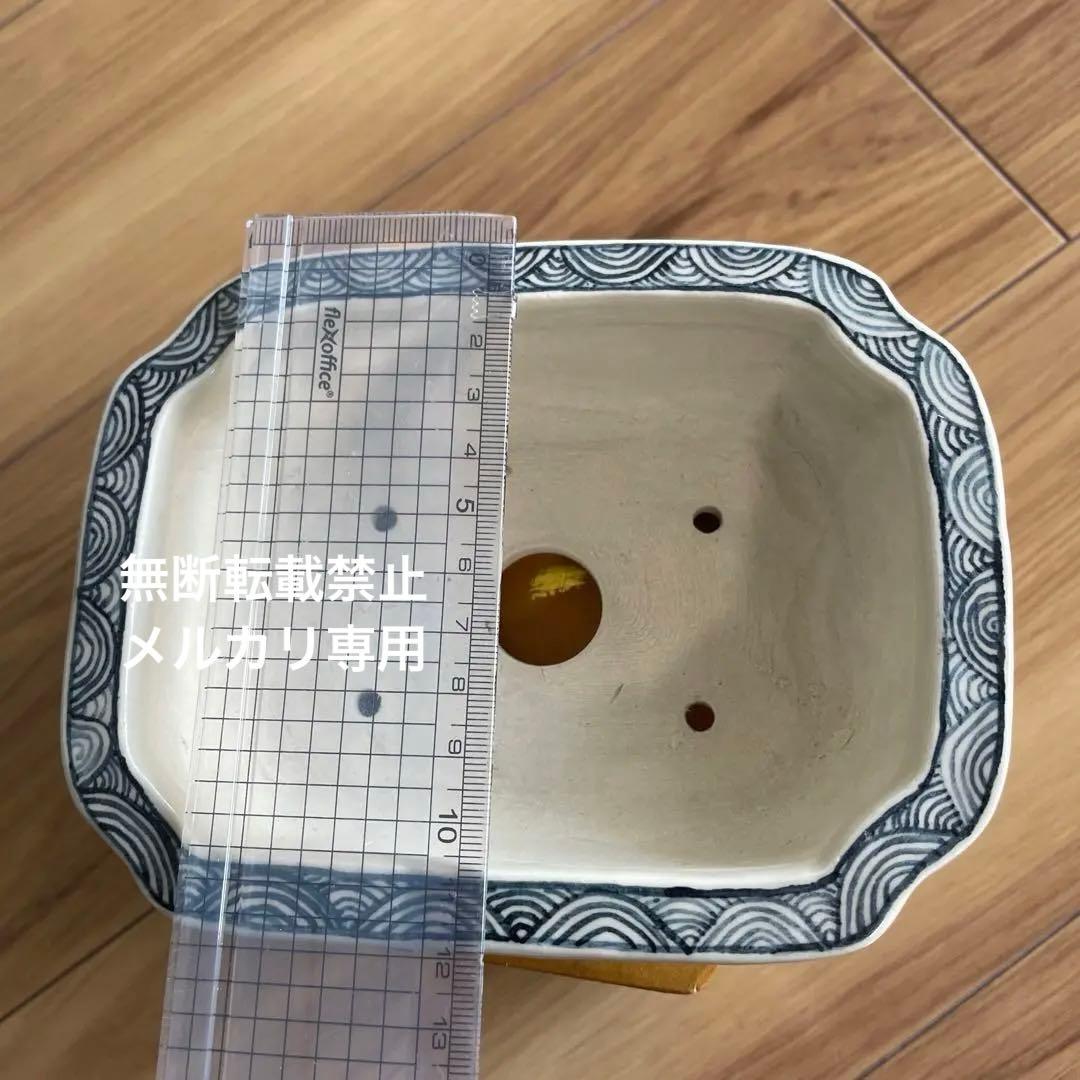 盆栽鉢　桑津香石　絵鉢　大きめ長方形　鳥　松　小品盆栽