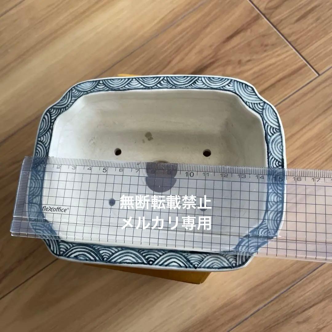 盆栽鉢　桑津香石　絵鉢　大きめ長方形　鳥　松　小品盆栽