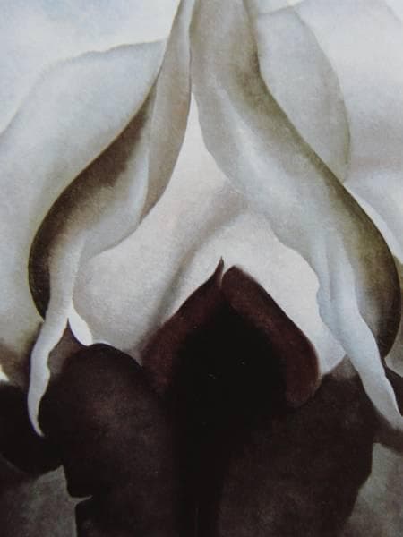 オキーフ、希少画集画、新品額装付 OKE-3-2