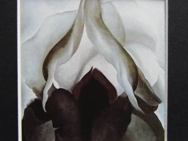 オキーフ、希少画集画、新品額装付 OKE-3-2