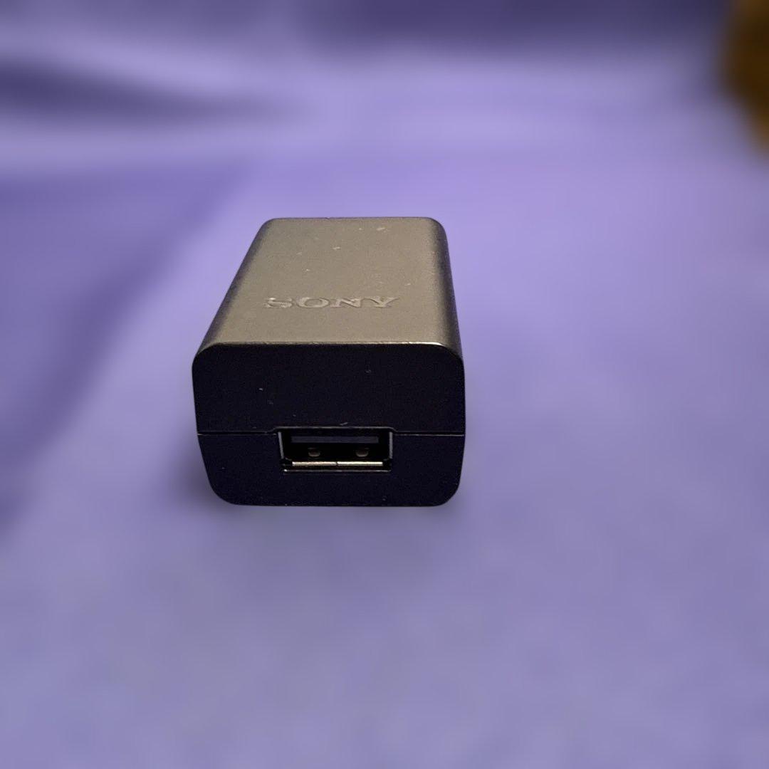 ビデオカメラ Sony Handycam HDR-CX680