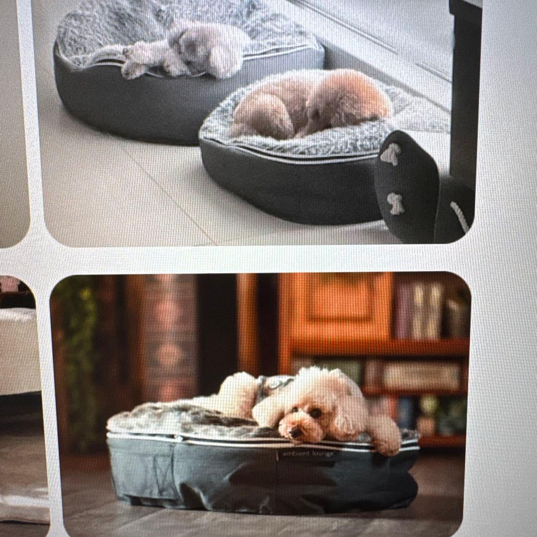 Ambient Lounge ラウンド型ベッドクッション グレー