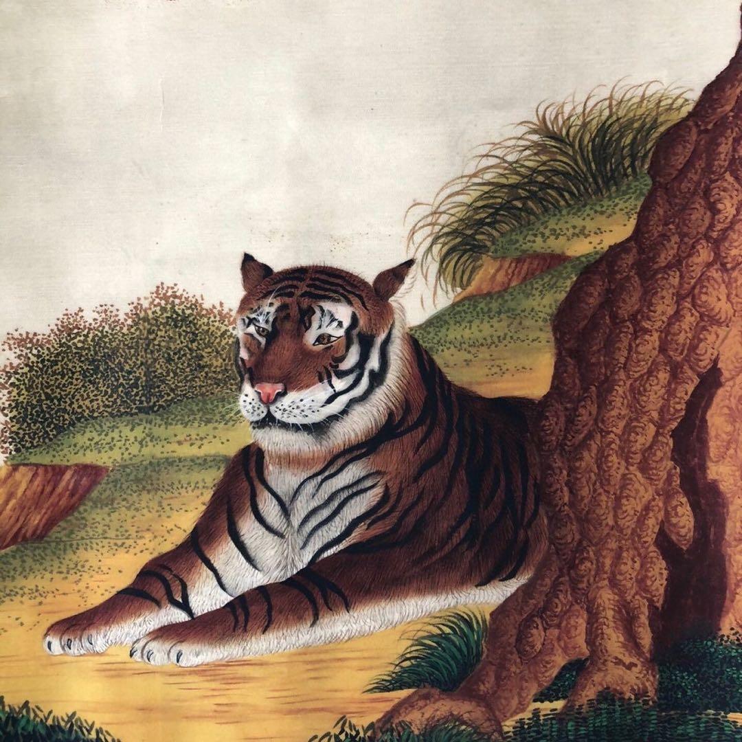 郎世宁 虎図 中堂掛け軸｜三尺｜十二支・寅｜表装済み