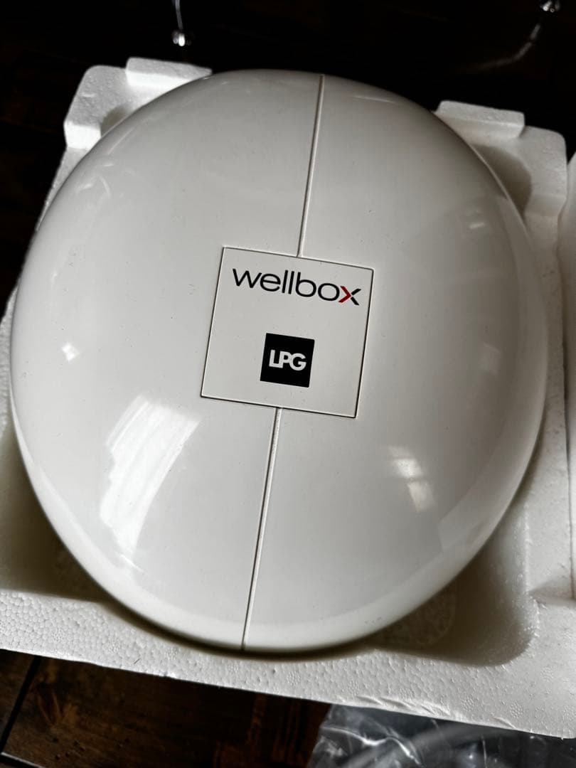 ミナ〜荷物整理中様リクエストLPG wellbox 美容家電 エンダモロジー