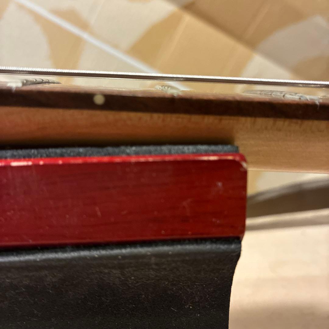 ピグノーズPGG200 黒