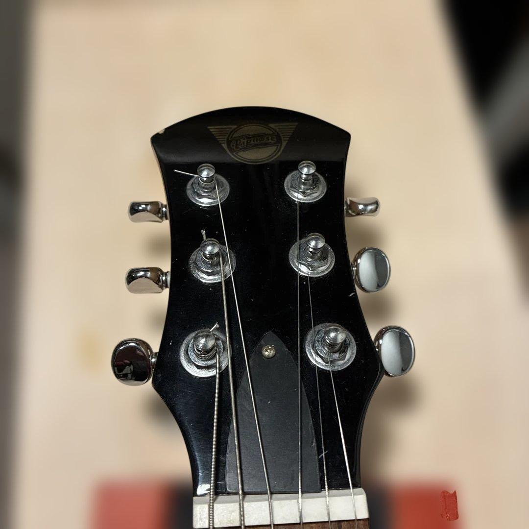 ピグノーズPGG200 黒