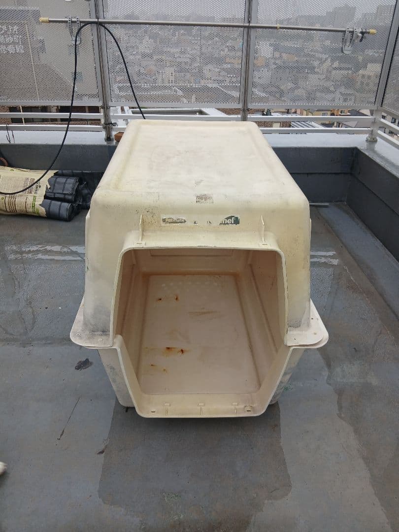 大型犬用プラスチック製犬用ケージ(直接引取可能)