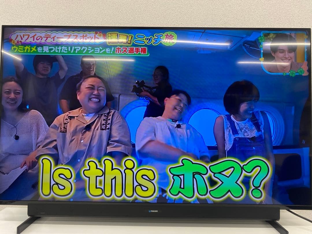 maxzen マクスゼン 液晶カラーテレビ JU50SK04 2021年製