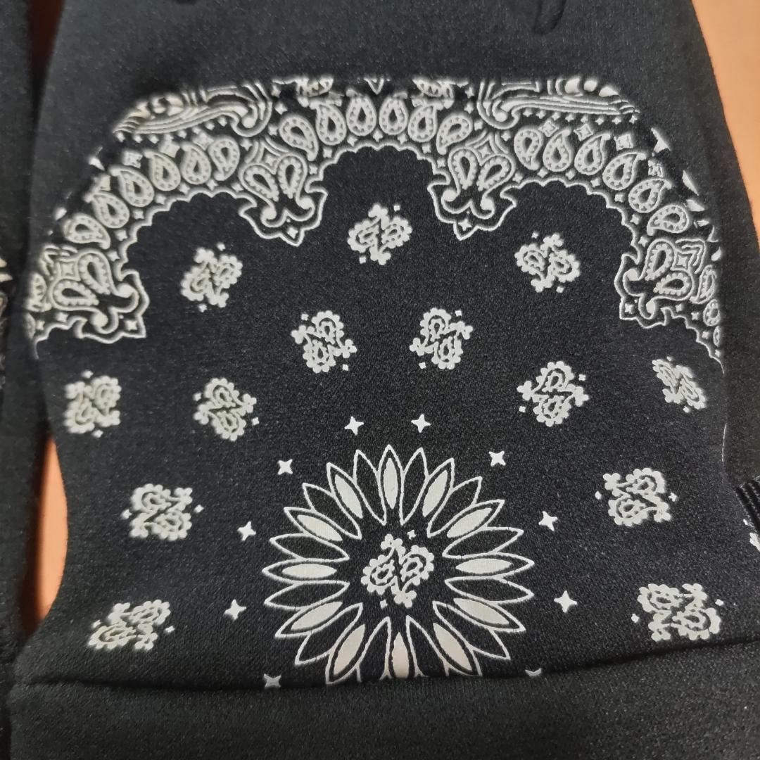 Supreme The North Face Bandana 手袋　M