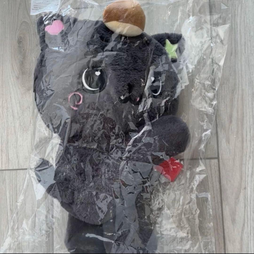 NCTWISH リク ぬいぐるみバッグ トレカなし