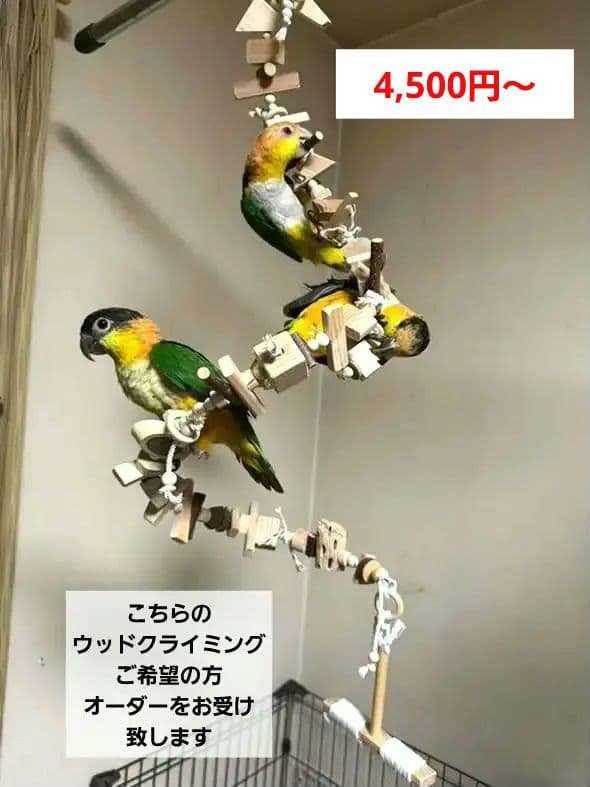 2ロング　自然素材　ウッドクライミング　中型インコ　ガジガジバードトイ　止まり木