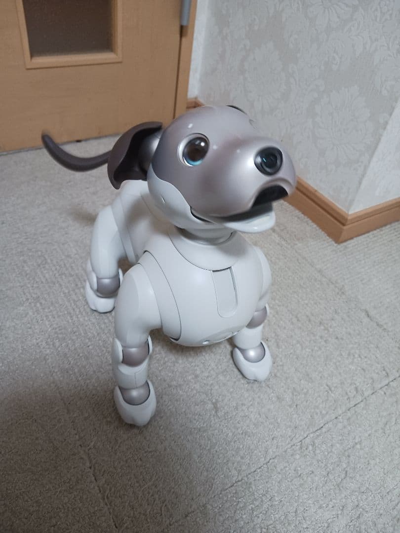 SONY　Aibo 本体　充電ステーション　ソニー　アイボ　ERS-1000