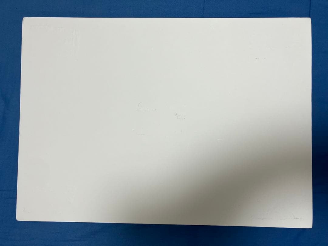 NEMOPHILA タワレコ当選パネル 直筆サイン入り