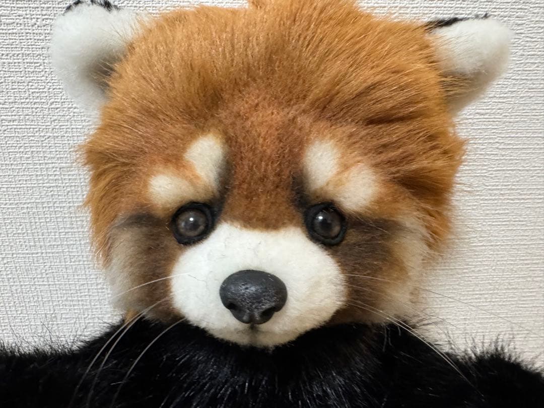 海外作家様作　アートドール　レッサーパンダ