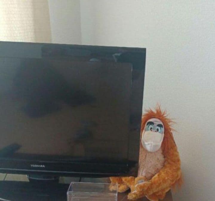 キングルーイ　ぬいぐるみ