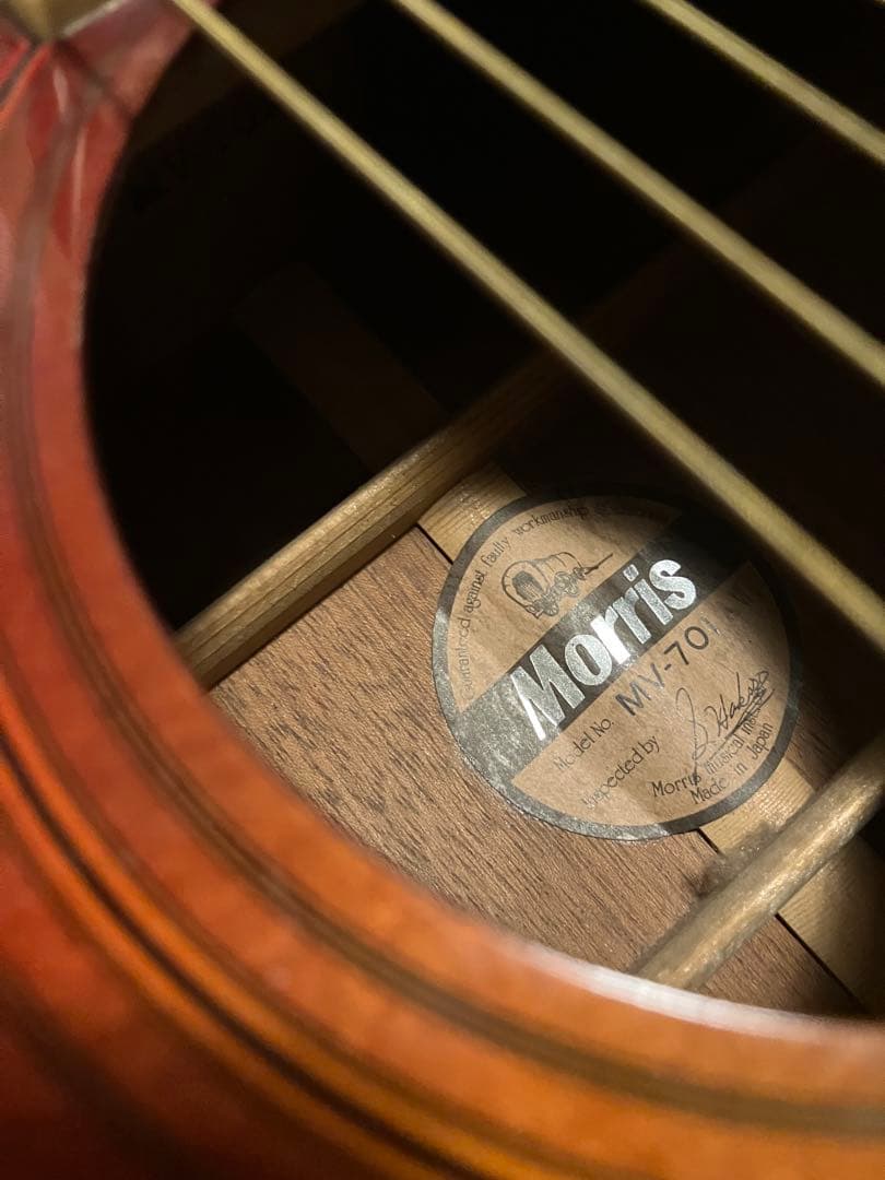 Morris Vanguard Series アコースティックギター　mv701