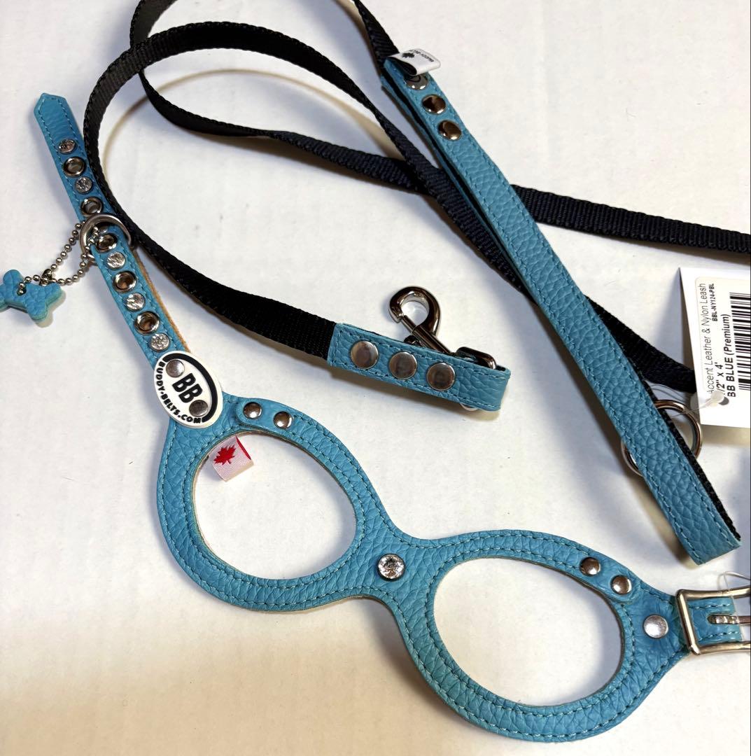 BUDDY BELT （Blue）２号　リードセット