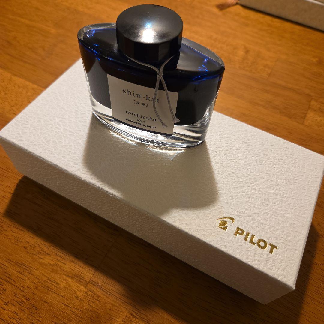 PILOT 万年筆 カスタム 845 シュ M 朱