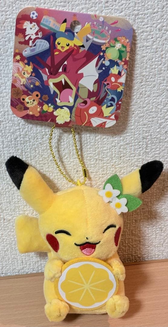 ピカチュウ ぬいぐるみ 7点セット (おまけ付き)