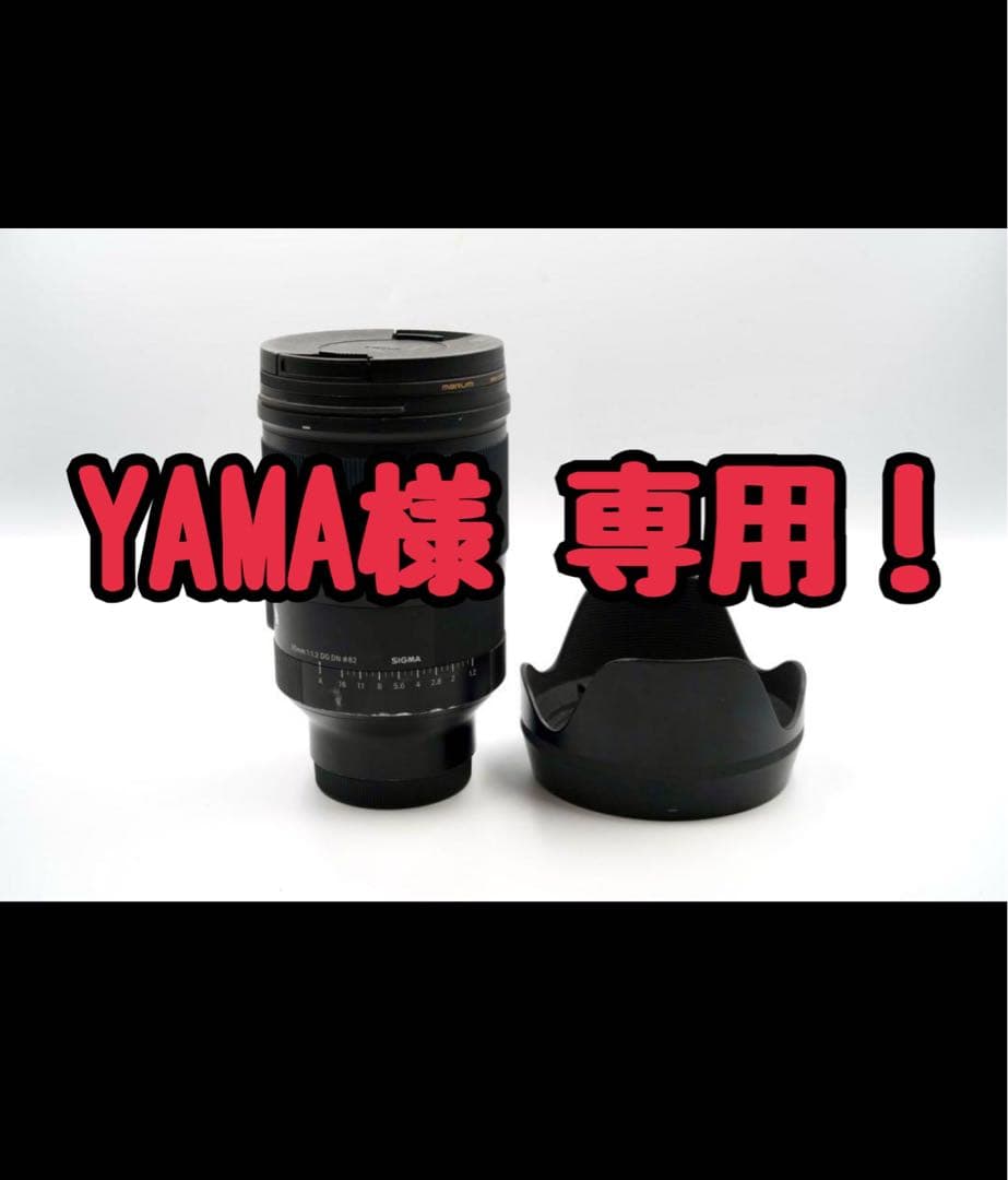 SIGMA (シグマ) Art 35mm F1.2 DG DN (ソニーE用)