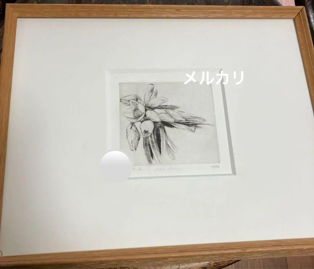 Jakob Demusダイヤモンドドライポイント技法エッチング　ボタニカル画②