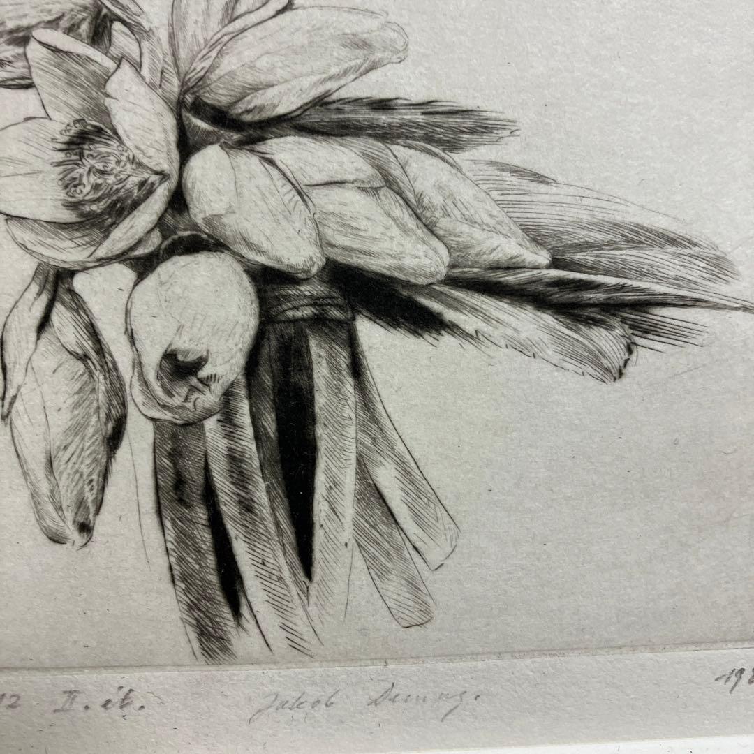 Jakob Demusダイヤモンドドライポイント技法エッチング　ボタニカル画②