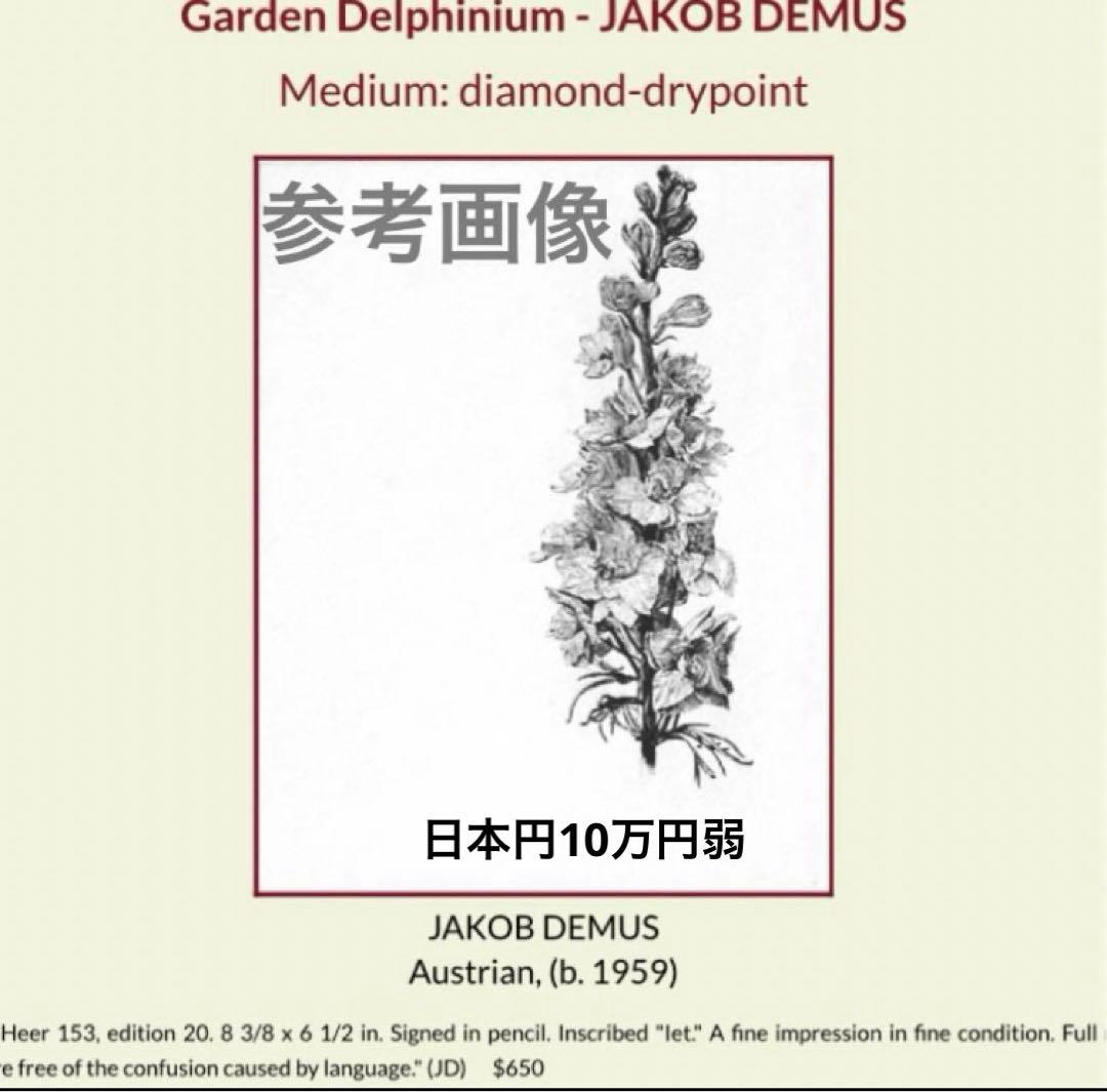 Jakob Demusダイヤモンドドライポイント技法エッチング　ボタニカル画②