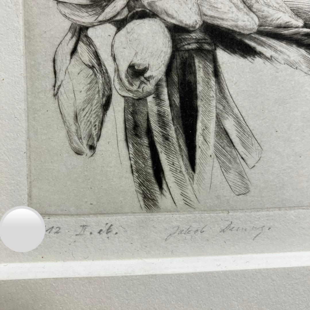 Jakob Demusダイヤモンドドライポイント技法エッチング　ボタニカル画②