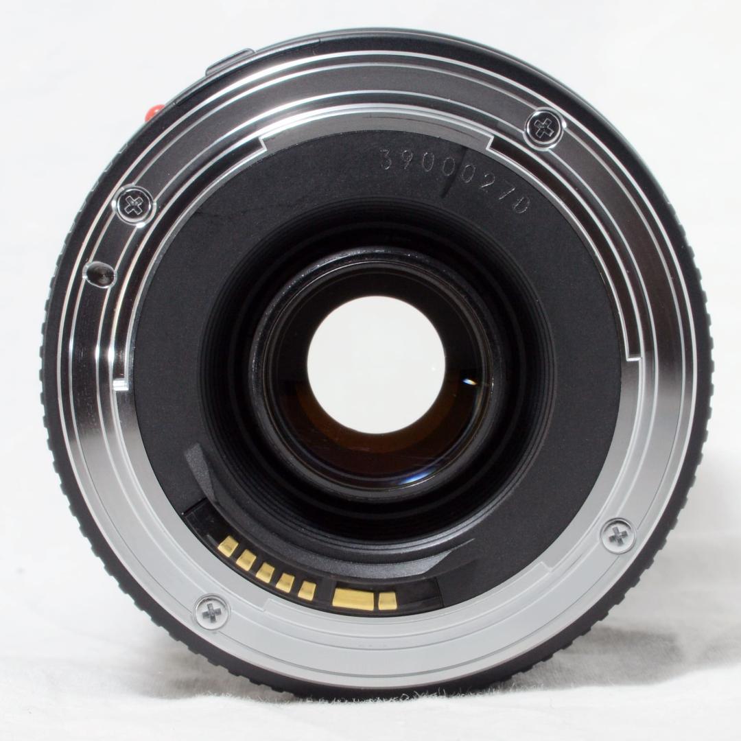 ★美品★Canon キャノン EF 75-300mm 4-5.6 Ⅱ 望遠ズーム