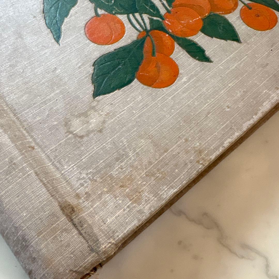 フランス　アンティーク　ポストカード　アルバム　CARTES POSTALES