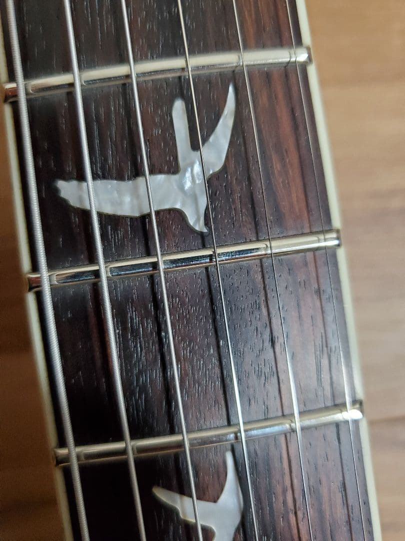 PRS SE　Zach Myers エレキギター 改造有