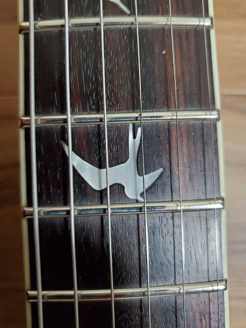 PRS SE　Zach Myers エレキギター 改造有