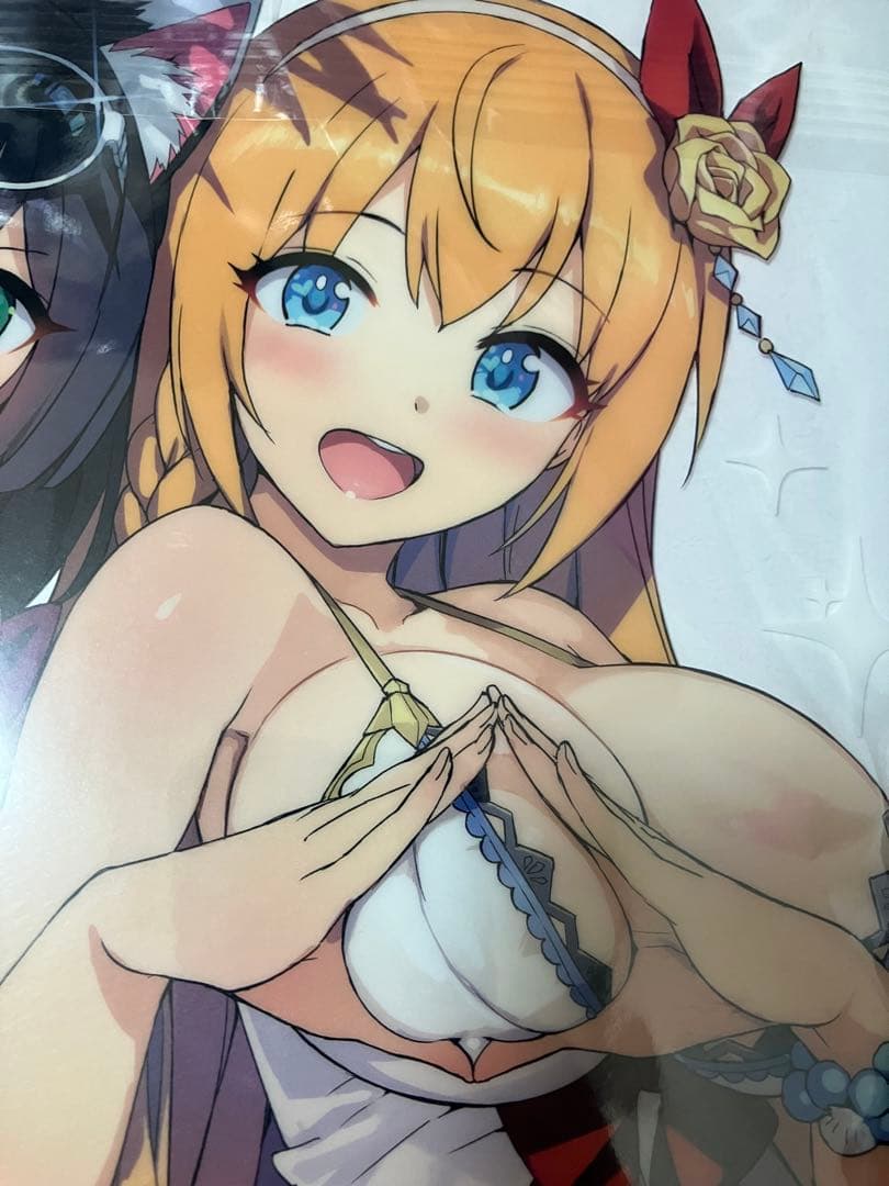 【非売品】プリンセスコネクト! ペコリーヌ A4 クリアファイル