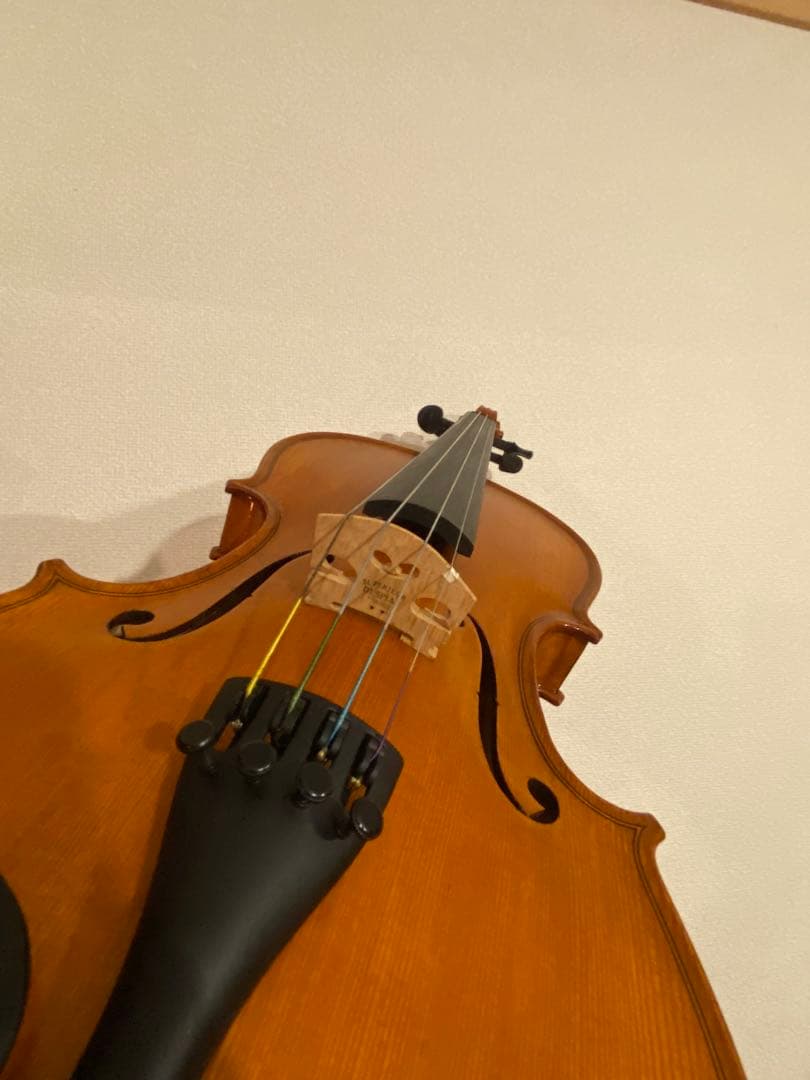 Gliga Gems 4/4 バイオリン