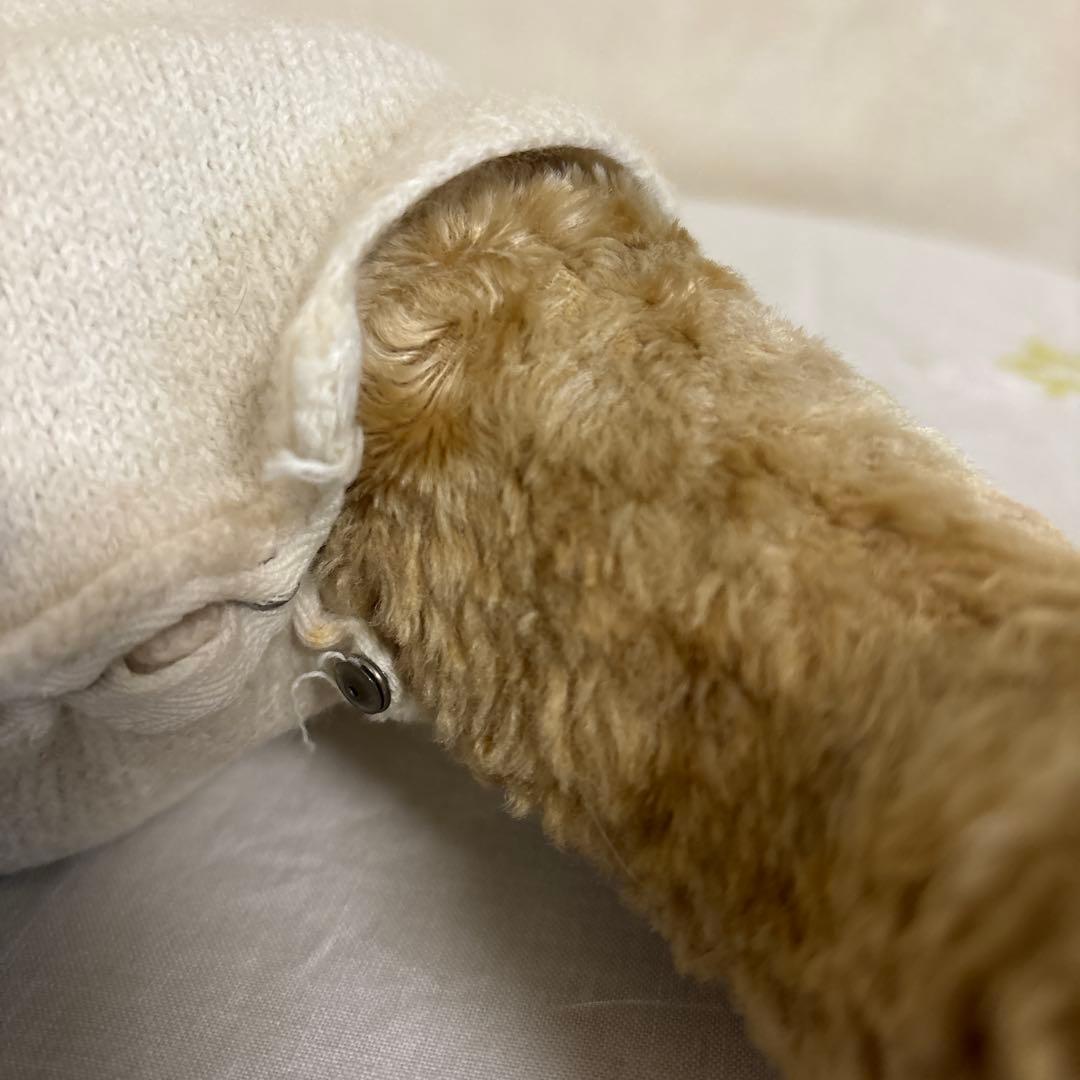 フランス　アンティークベア　テディベア