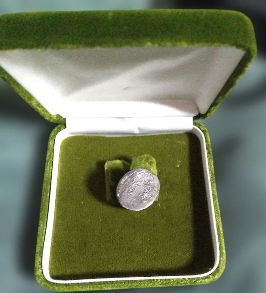 白日会創立70回記念バッジ 1994年